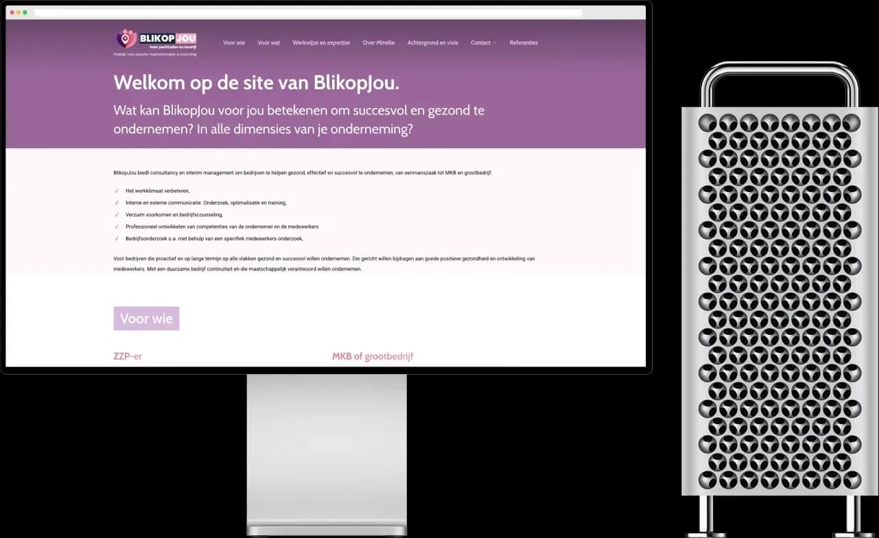 Website van Blik op Jou