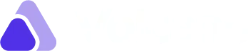 Volcano BV Logo